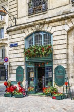 Bordeaux, Gironde, Nouvelle-Aquitaine, France