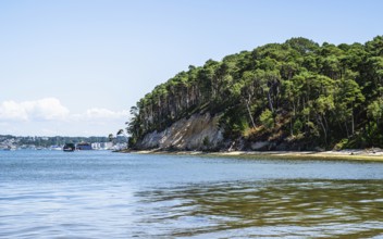 Brownsea Island, Poole, Dorset, England, United Kingdom