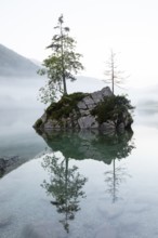 Magical sunrise with fog at Hintersee near Ramsau in Berchtesgadener Land. Reflection of the rocks