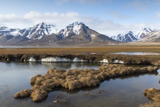 Permafrost, ice below the surface, Aventdalen, Longyearbyen, Spitsbergen, Svalbard