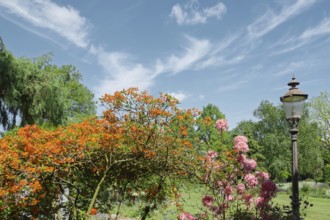 District educational garden, Burgsteinfurt, Münsterland, North Rhine-Westphalia, Germany