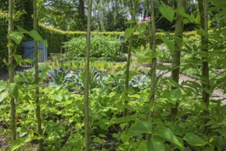 District educational garden, kitchen garden, Burgsteinfurt, Steinfurt, Münsterland, North