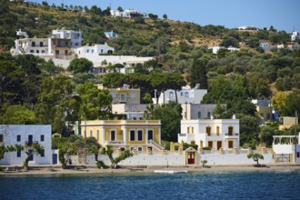 Yellow villa with surrounding trees on the seashore in a quiet location, Lakki, Leros, Dodecanese,