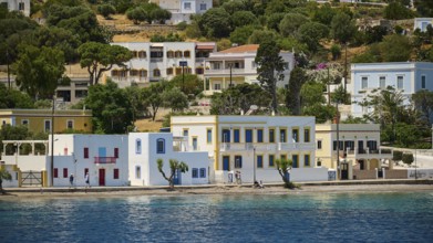Colourful coastal houses with palm trees along a blue stretch of sea, Lakki, Leros, Dodecanese,