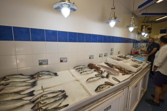 Fresh fish on ice in a shop with blue and white tiles and lamps, Lakki, Leros, Dodecanese, Greek