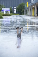 Reflection in the rain, Unterallgäu, Bavaria