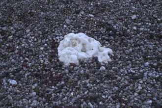 Chalk cliffs in pebble beach, beach, Étretat, cliffs, cliffs, chalk cliffs, alabaster coast, La
