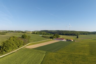 Farm, green fields stretch out under a blue sky, with wind turbines in the distance, near