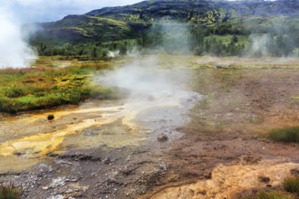 Steaming high-temperature area Haukadalur, tourist attraction on the Golden Circle, Sudurland,