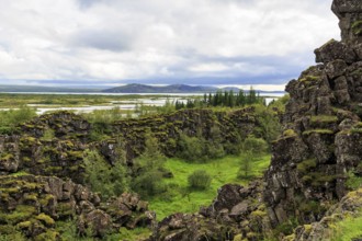Thingvellir National Park, green volcanic landscape with Lake Þingvallavatn, Thingvallavatn in