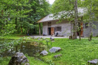 Hundinghütte in the castle park of Linderhof Castle, Ettal, Ammertal, Upper Bavaria, Bavaria,