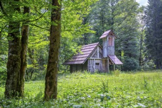 Gurnemanz's hermitage in the park of Linderhof Palace, Ettal, Ammertal, Upper Bavaria, Bavaria,