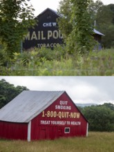 Old barns painted with pro- and anti-tobacco messages in rural America. Above, a Pennsylvania barn