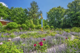 Rosarium with blooming roses and lavender on the Rose Island in Lake Starnberg, Feldafing, Upper