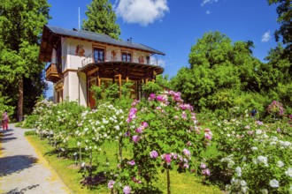 Rose garden in front of the Pompeian-Bavarian casino on the Rose Island in Lake Starnberg,