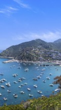 USA, California, panoramic view of Catalina Island Bay and Avalon. Chimes Lookout. Travel