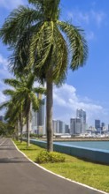 Panoramic view of skyline of Panama City downtown and financial center