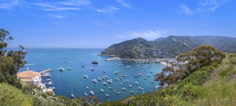 USA, California, panoramic view of Catalina Island Bay and Avalon. Chimes Lookout. Travel