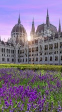 Hungary, panoramic view of the Parliament and Budapest city skyline of historic center