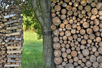 Free-standing stack of firewood, logs, secured by cross-layered ends, or held by tree trunk,