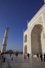 Taj Mahal or Taj Mahal in the morning light, mausoleum, Agra, Uttar Pradesh, India
