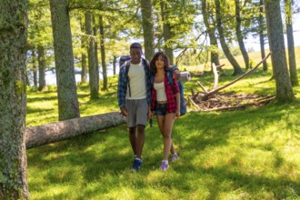 Young couple hiking through a lush forest, enjoying a summer trekking adventure filled with