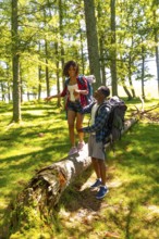 Young backpacking couple holding hands and balancing on a fallen tree trunk while hiking through a