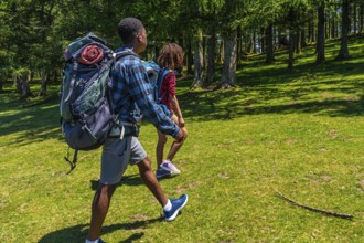 Two hikers are walking through a lush green forest on a sunny day, carrying backpacks and enjoying