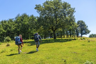 Hikers ascending a hill in a lush green meadow on a sunny summer day, soaking in the breathtaking