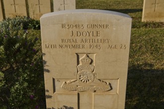 A single gravestone with inscription near grass and shade in a cemetery, J. Doyle, Royal Artillery,