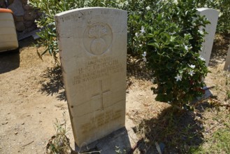 Gravestone of a soldier next to plants under sunshine, Hugh Gore-Booth, Irishman, Fusilier,