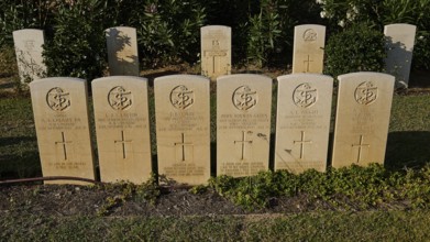Rows of evenly spaced gravestones in the sunlight, surrounded by green vegetation, sinking of the H