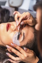 Beautician combing eyelashes with micro brush and applying individual lashes on client's upper
