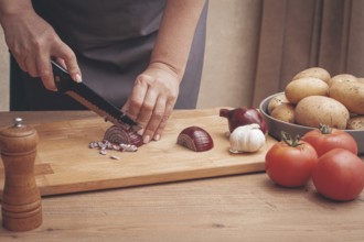 Slicing onions and preparing vegetables for cooking in a kitchen setting