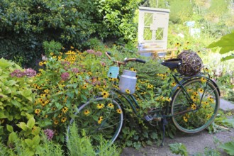 Kässtadel, KäStadel, on the lake, specialist cheese shop with bistro, cheese shop, delicatessen,