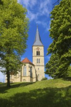 St. Martinus, catholic church, place of worship, sacral building, church tower, clock, cross,