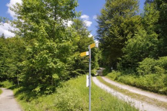 Path to the Zellerhorn, hiking, signposts, signs, deciduous trees, Albtrauf, boundary between