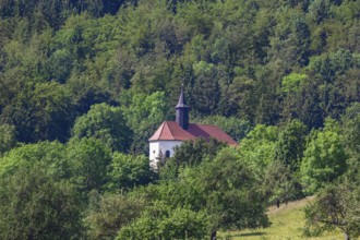 Maria Zell pilgrimage church, church, sacred building, below the Zeller Horn, trees, Hechingen