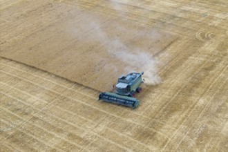 A combine harvester harvests a grain-covered field and stirs up dust, basket in the Rems Valley,