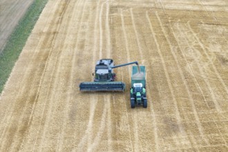 Closer look at a combine harvester loading crops onto a tractor, Korb im Rems Valley,