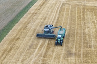 A combine harvester loads a tractor in a harvested field, Korb im Remstal, Baden-Württemberg,