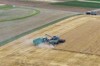 A combine harvester with a tractor and trailer harvesting together on a cornfield