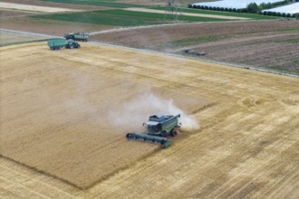 A combine harvester harvesting on a grain field surrounding the field while dust rises, tractor,