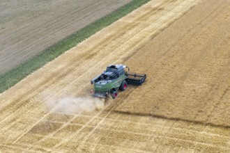A combine harvester harvests a cornfield and moves through the dusty landscape, Korb im Rems
