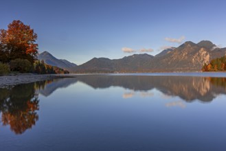 Mountain lake, mountains, morning light, reflection, autumn, autumn color, forest, shore,