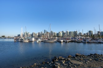 Skyscrapers, yachts and sailboats in the marina, Vancouver skyline, Vancouver, British Columbia,
