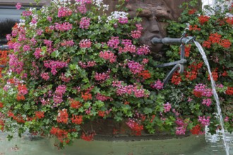 Gargoyles at Georgenbrunnen in Haguenau, Hagenau, Bas-Rhin department in the Alsace region, France