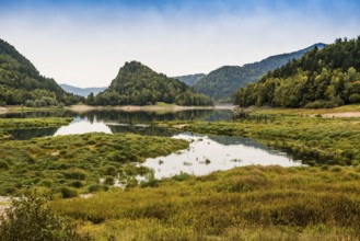 Picturesque mountain lake with water reflections in autumn, Lac de Kruth-Wildenstein, Kruth,