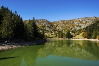 Picturesque mountain lake in autumn, Lac de Forlet, Lac des Truites, Col de la Schlucht, Vosges,