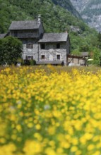 Traditional stone farmhouse, Sonogno, Upper Verzasca Valley in the Canton of Tessin, Switzerland